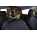 foto 1: Чехлы защитные на подголовники автомобиля