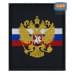 Шеврон на липучке «Флаг и герб РФ». Размер 100х85 мм. 